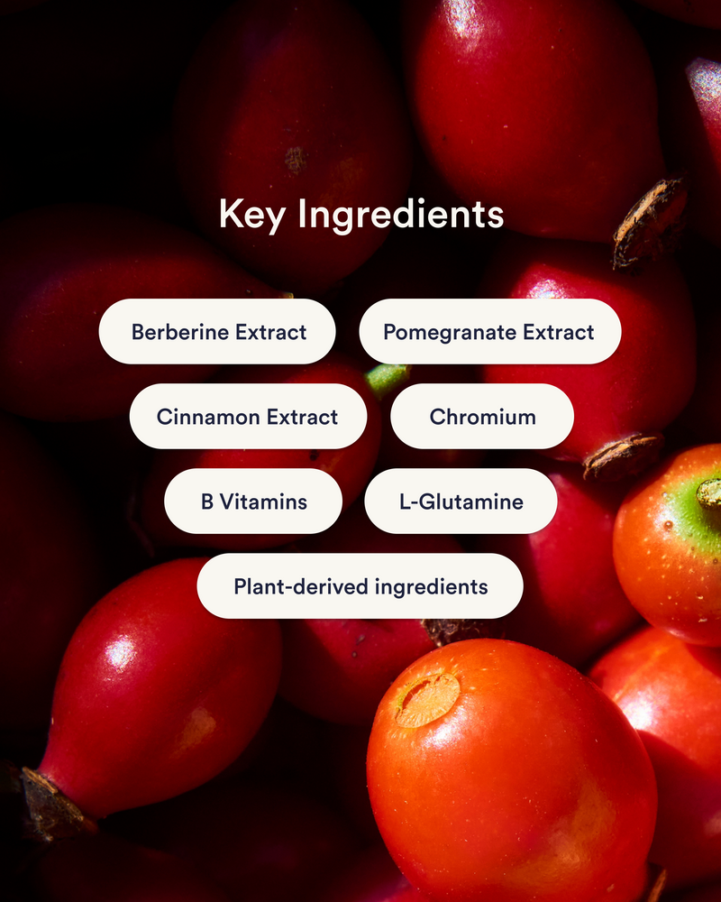 Parches Berberine (Anteriormente GLP-1)