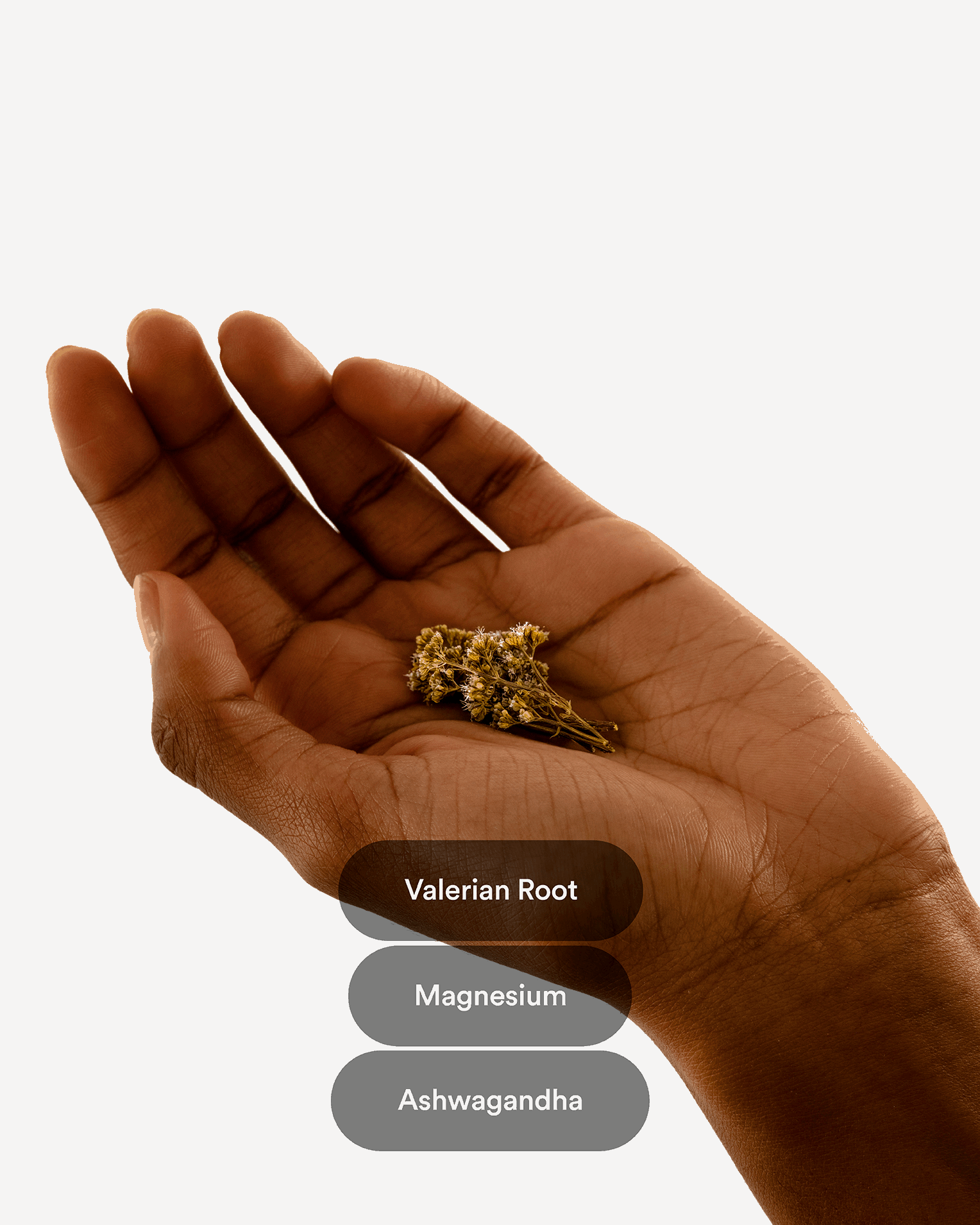 Dream Patches - Valerian Root