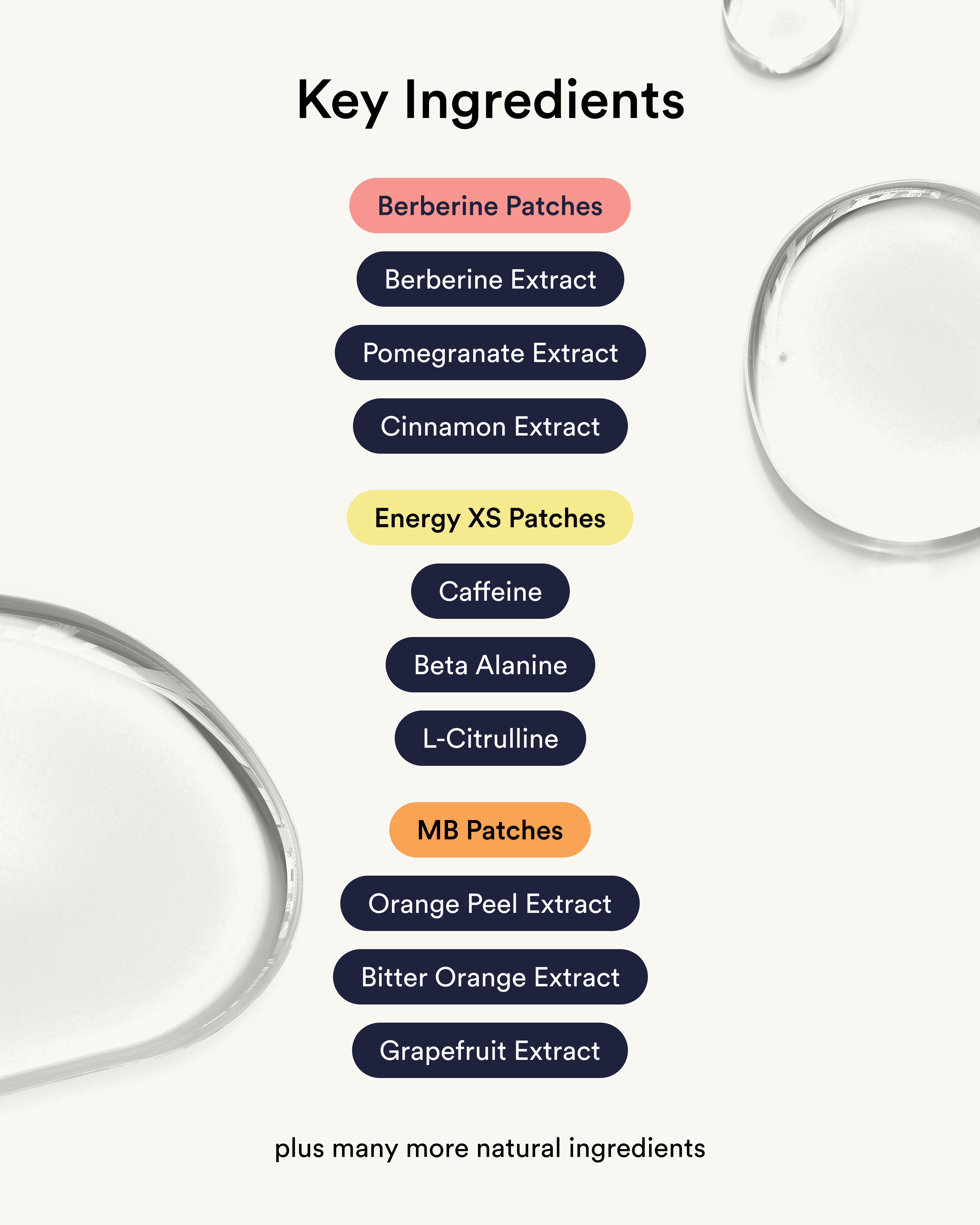 Metabolism + Energy Starter Set