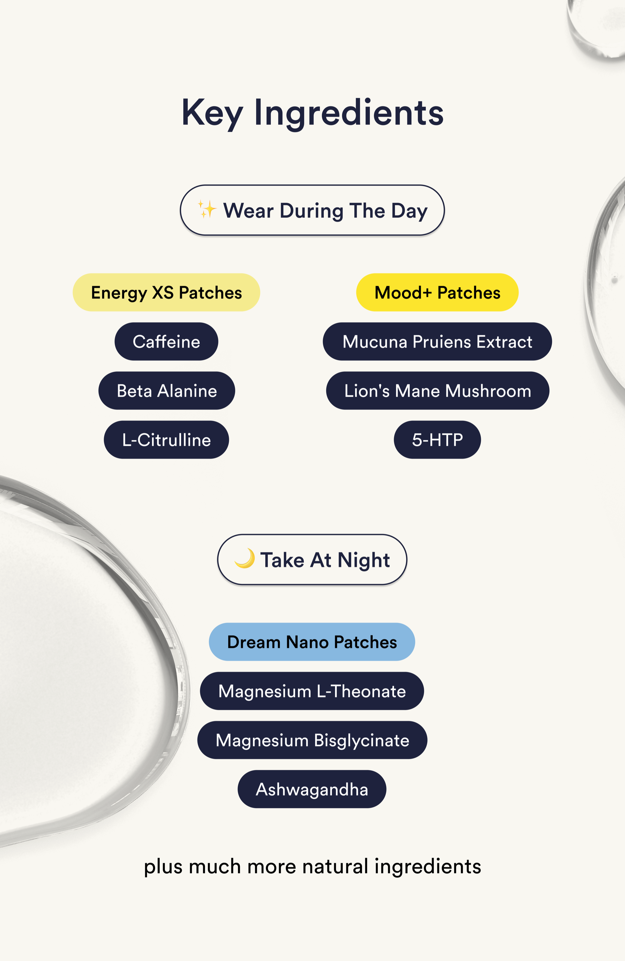 The Daily Habit Bundle - Key ingredients
